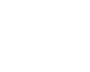 Zunesia